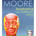 Libro Anatomía de Moore
